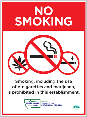 6"x8" No Smoking Front Mount Business Cling